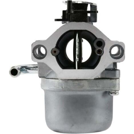 DTEKGAZ -  590399 Vergaser für Rasenmähermotoren 590399 796077, XU, 111P02 111P07 114P02, leistungsstarkes, leises Bauteil, langlebige Materialien, Zufriedenheitsgarantie - (1/4)