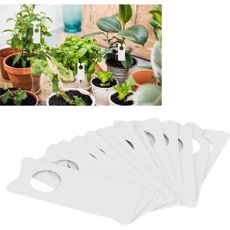 Étiquettes de Jardin 600 Pièces, Marqueurs de Plantes en PVC Blanc Imperméable pour Jardin et Cour (1/5)