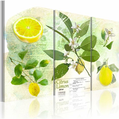 Tableau fruits citron - 120 x 80 cm (1/4)