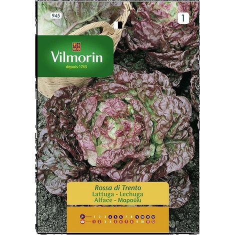 VILMORIN Semillas de LECHUGA ROSA TRIENTO, Ref: 945, 5 gr