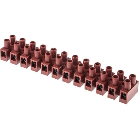 Bornier de raccordement RS PRO, 12 pôles , 12mm, A visser, 41A ( Prix pour Paquet de 5 ) (1/3)