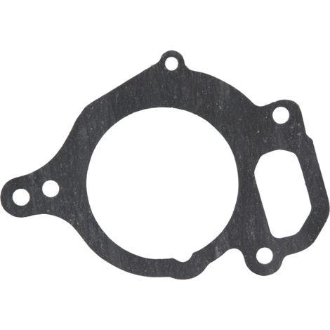 Junta de la bomba de agua CASE CS STEYR 132000060715