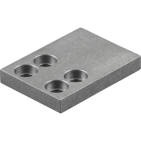 Führungsplatte 773004