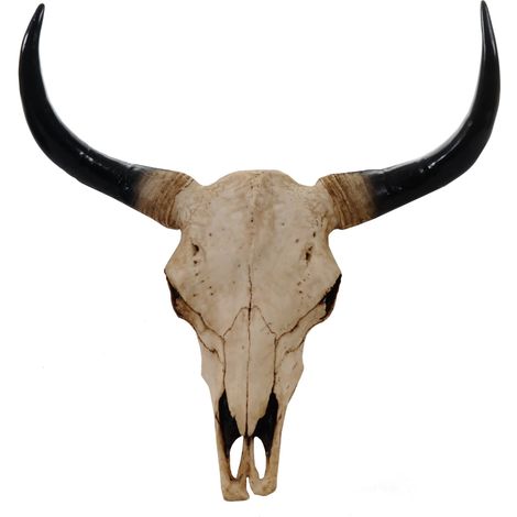 Deko Schädel 64cm, Polyresin Stier Bulle Longhorn Kopf Trophäe, In-/Outdoor natur