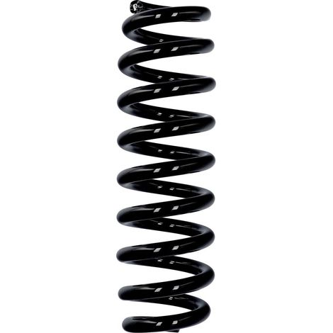 Molla di serie Eibach ERL BMW posteriore R23055 (1/2)