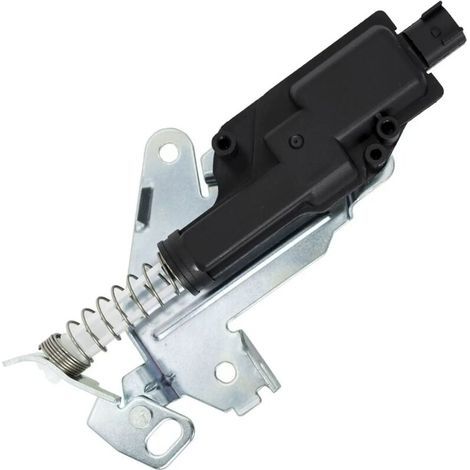 Lntyq Serrure de Coffre Arrière our Fiesta MK5 6 Fusion 2S6T432A98AF 2S6T432A98AE 1481081 (1/5)