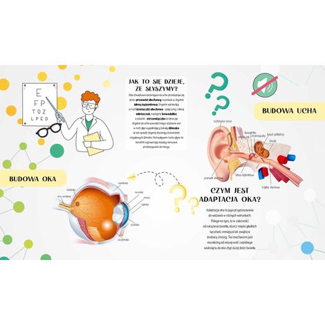 Tapete decorativo para radiador con diseño educativo, estructura de ojos y orejas, 60 x 100 cm (1/3)