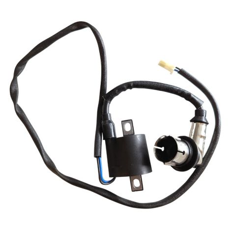 Ersatz Zündspule ZD31N für Inverter Stromerzeuger uvm. (1/3)