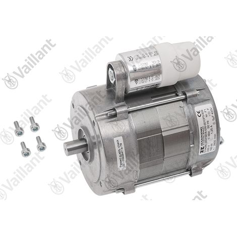 Vaillant Motor 0020021161