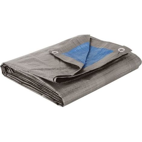 COGEX Bâche de protection 5x8m (1/2)