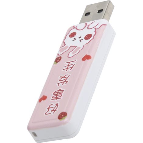 Clé USB 2.0 de type PushPull avec cordon (64 Go) (1/5)