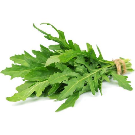 Semi di rucola "Selvatica" piante per orto e giardino coltivazione domestica e professionale