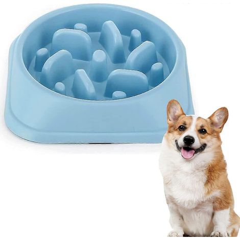 Gamelle anti-glouton pour chien et chat, gamelle anti-glouton pour une alimentation saine et une digestion lente (20,2 x 4,5 cm) (1/5)