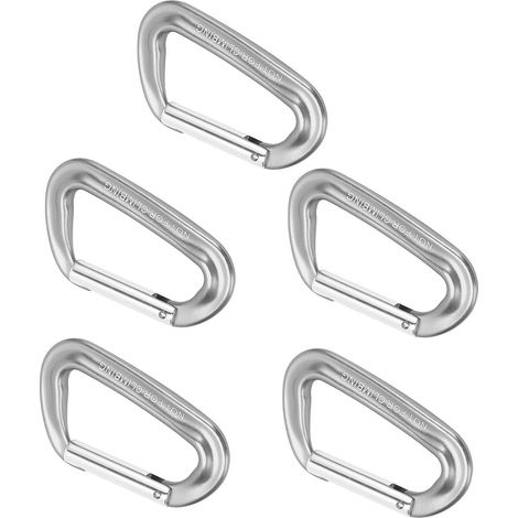 5 Mousquetons en D en Alliage d'Aluminium 12KN - Équipement d'Escalade, Randonnée et Accrobranche, Résistance 2697 Lbs, Couleur Gris (1/5)