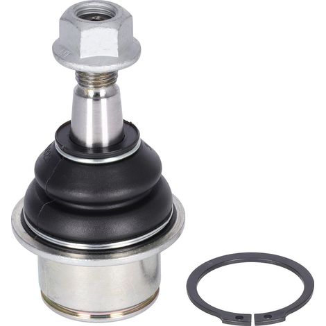Vorderer Querlenkerbolzen febi bilstein FE41082 (1/2)