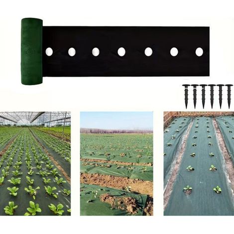 Toile de paillage 6mx0.6m - Bâche géotextile anti-mauvaises herbes anti-UV perméable à l'eau anti-repousse - Avec trous et 6 piquets en plastique – Maintient l'humidité du sol (1/5)