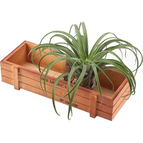 Pot de fleurs vintage en bois pour plantes succulentes, boîte rectangulaire, plateau de rangement pour bureau ou maison (1/5)