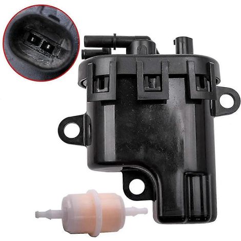 Kit pompe à carburant et filtre pour tondeuse à gazon 2539309S compatible avec ECH ECV 2539316-S 2539316S 2539311 2539314 (1/5)