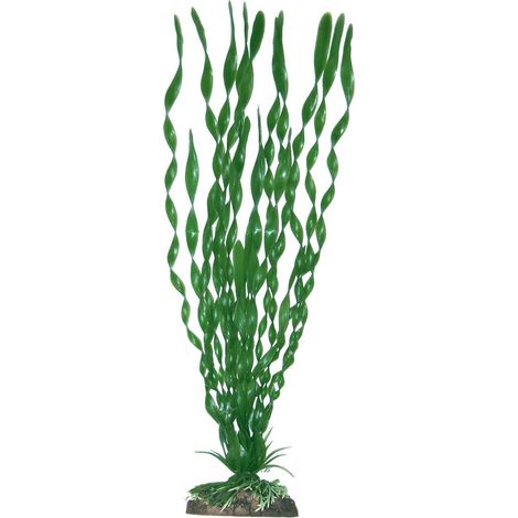 Altezza 23 cm: Decorazione piantina Valisneria Major Amtra in plastica per acquari