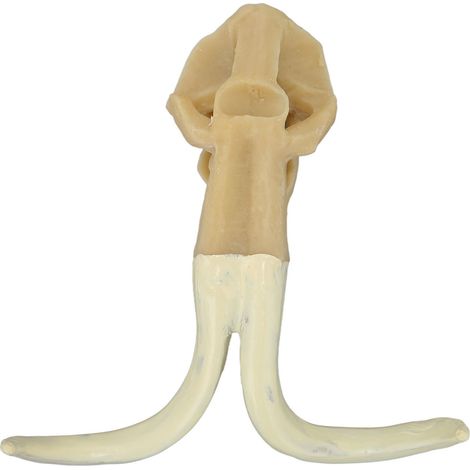 Statue de crâne pour aquarium, figurine en résine, décorations pour aquarium, artisanat, sculptures pour aquascaping (1/5)