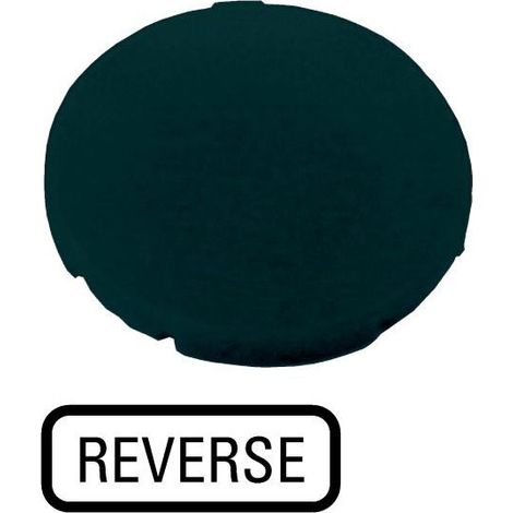 Étiquette plate noire REVERSE EATON M22-XD-S-GB16