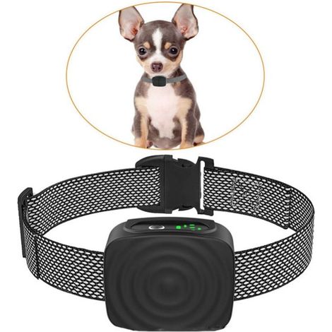 Dog Collar for Small/Medium Dogs, 5-15 lbs, No Shock, Rechargeable, Anti Bark, with Adjustable Sensitivity and Strength, No Bark Collar (1/4)