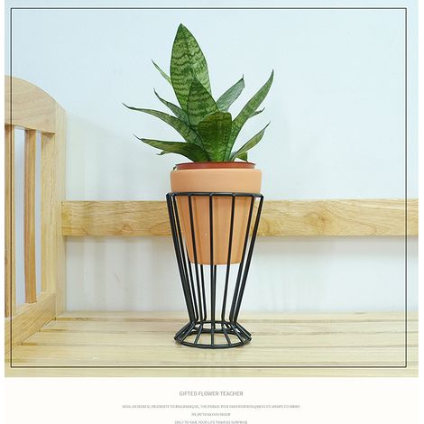 Accessoire de Décoration - Pot Métallique pour Plantes Aériennes - Élégant & Relaxant (1/4)