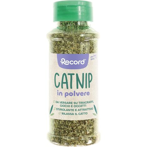 Catnip in polvere