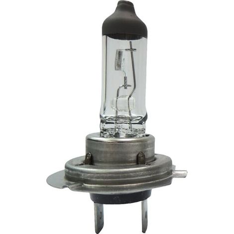 Bombilla H7 24V 70W PX26d UNIVERSAL B2438