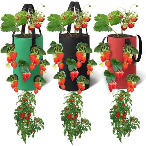 Sac De Culture - 20 cm x 35 cm - Tissu Non Tissé Respirant - 12 Trous De Drainage - Pour Fraises Herbes Légumes Fleurs - Lot De 3 (1/5)