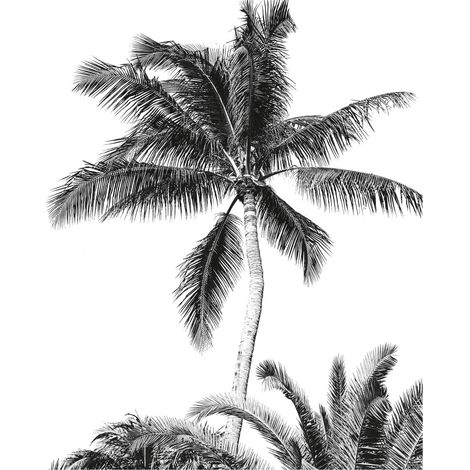 Komar Wandtapete - Retro Palm - 250 x 200 cm - Vlies Digitaldruck - Modern