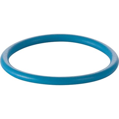 Geberit O-Ring für Duscharm für AquaClean 8000/8000plus, 240665001 (1/3)
