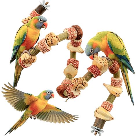 Perchoir Perroquet 90 cm, Jouet Perroquet en Bois, Perchoir Oiseaux avec Fil Métallique Flexible et Pliable, Jouet Oiseau Convient aux Perroquets de Petite et Moyenne Taille (1/5)
