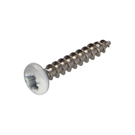 VBA Vis bois agglo Inox A2 Tête ronde TR Pozi 3.5X20 Laqué blanc-100 pièces (1/4)