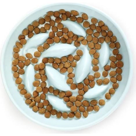 Gamelle Anti Glouton Chat Céramique, Gamelle Alimentation Lente Chat, Bol Chat Anti Glouton, Gamelle Chat Ceramique (1/4)