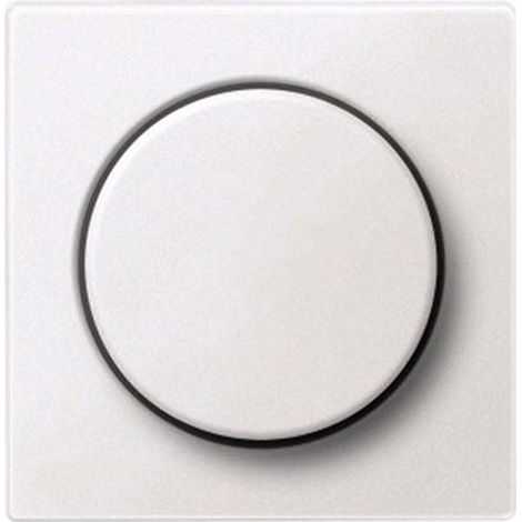 Cache pour variateur blanc polaire, pièce de fixation compatible, accessoire électrique pour installation murale, finition neutre, ensemble complet pour rénovation et installation domestique
