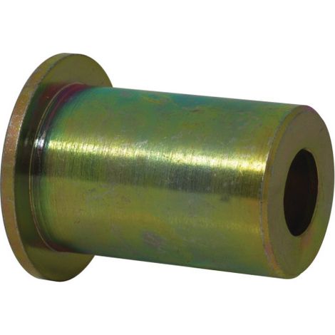 Pollux Protector de Cilindro Cerradura Latón Pulido 30 mm