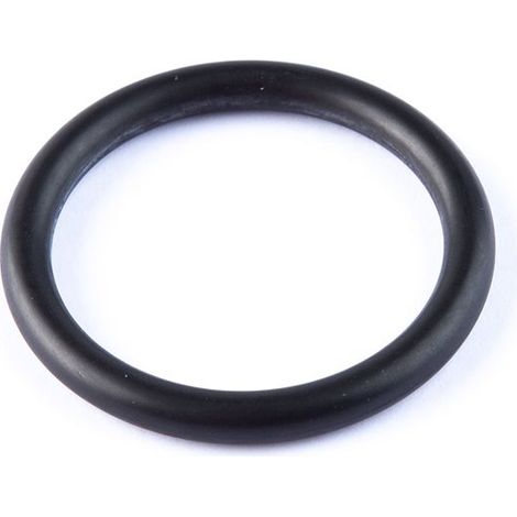 Breiter AN-19-Artic-O-Ring (100 Einheiten)