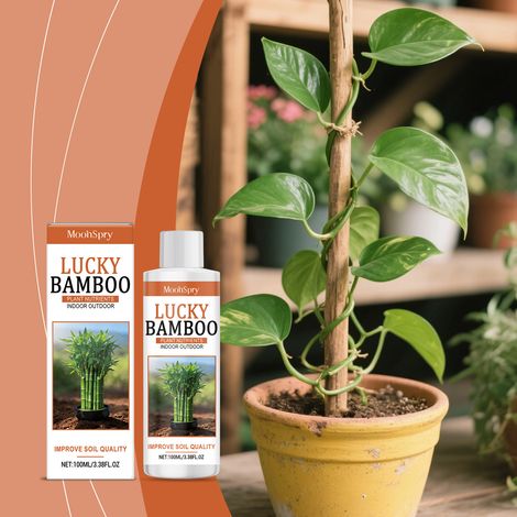 Solution nutritive pour plantes vertes, soin des racines des plantes et des fleurs, hydratation et nutrition, produit d'entretien pour le jardinage domestique -- 100 ml (1/5)