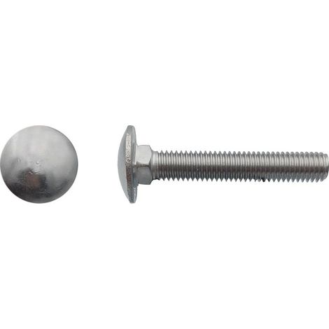 50 Vis Tête Ronde Collet Carré TRCC 10 x 130 mm - DIN 603 - Inox A2 - D-Work
