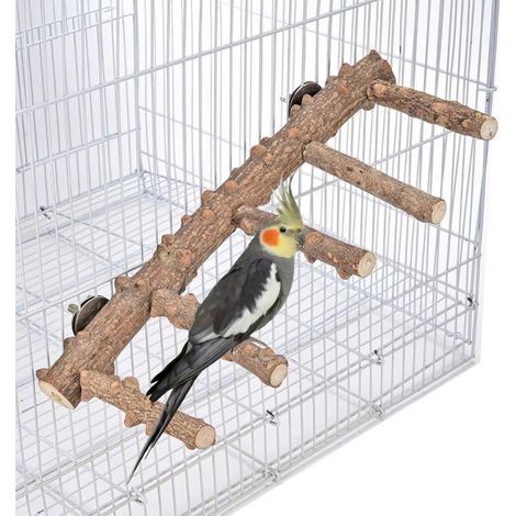 Perchoirs en bois naturel pour perroquets, 30,5 cm, support échelle, accessoires pour cages (1/2)