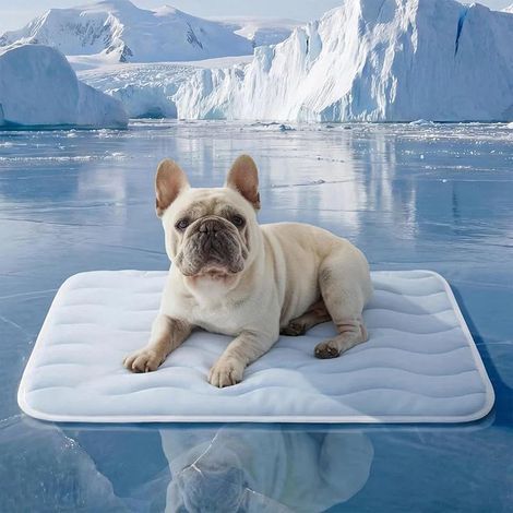 Tapis de cage respirant, fin et lavable, pour animaux de compagnie, 104 x 71 cm (1/5)