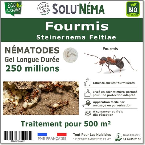 Traitement fourmis - 250 millions Nématodes SF