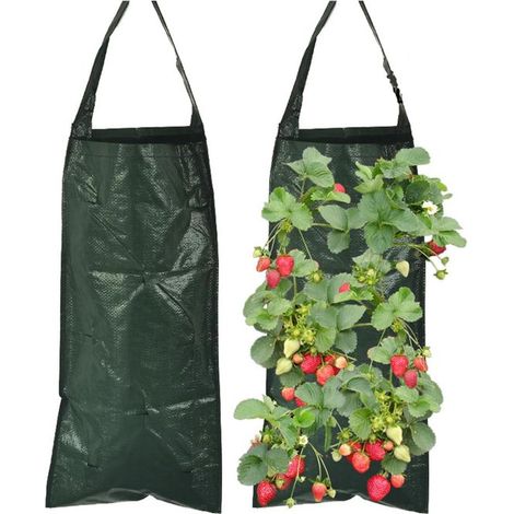 Hängende Pflanzsäcke für Erdbeeren mit 8 Belüftungslöchern – Vertikale Pflanzsäcke – 2er-Pack – Ideal für vertikales Gärtnern – 25 x 60 cm