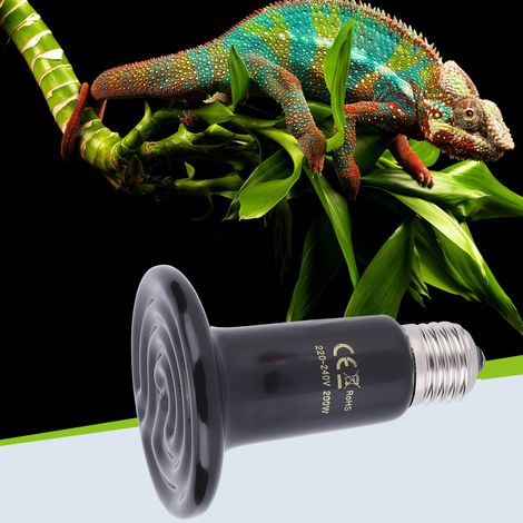 Lampe chauffante en céramique E27 pour reptiles et autres animaux, lampe chauffante infrarouge pour animaux de compagnie, 220-240 V (1/5)