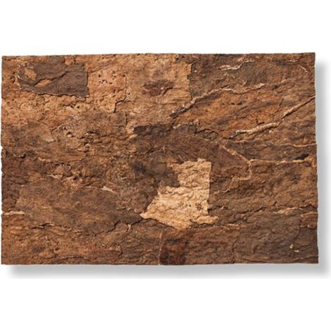 Sfondo in sughero BioVirgin marrone 60x30 cm, sfondo in sughero per terrari (1/5)