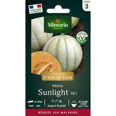 Melon Sunlight HF1 - Graines d'Exception Vilmorin (1/2)