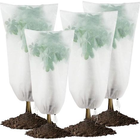 4 Voile Hivernage Plante Exterieur Housse Protection Plante Hiver 80x120cm (1/5)