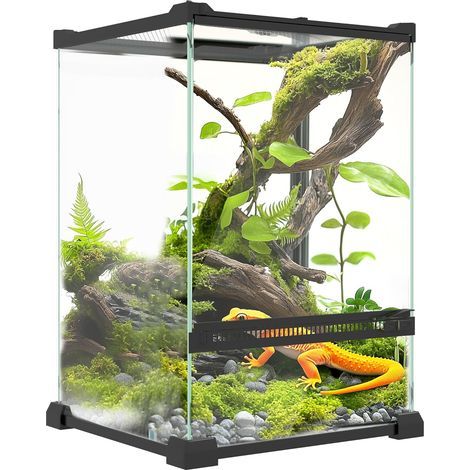 Glas-Terrarium 12L mit Metallgitterdeckel und Belüftung für Reptilien, Frösche, Schlangen und Schildkröten (1/5)