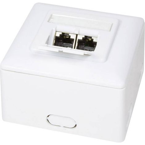 Logilink Anschlussdose weiß 2 Ports RJ45 CAT6